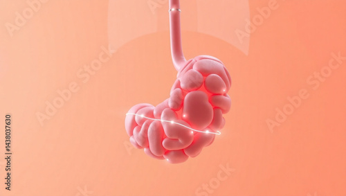 Anatomical rendering of a human stomach with a glowing nerve path on a gradient peach background created with generated ai