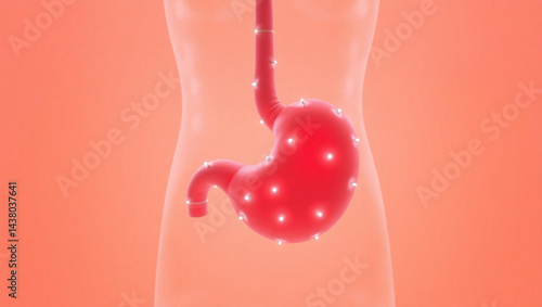 Illustration showing human stomach anatomy and digestive system on a pink background color created with generated ai