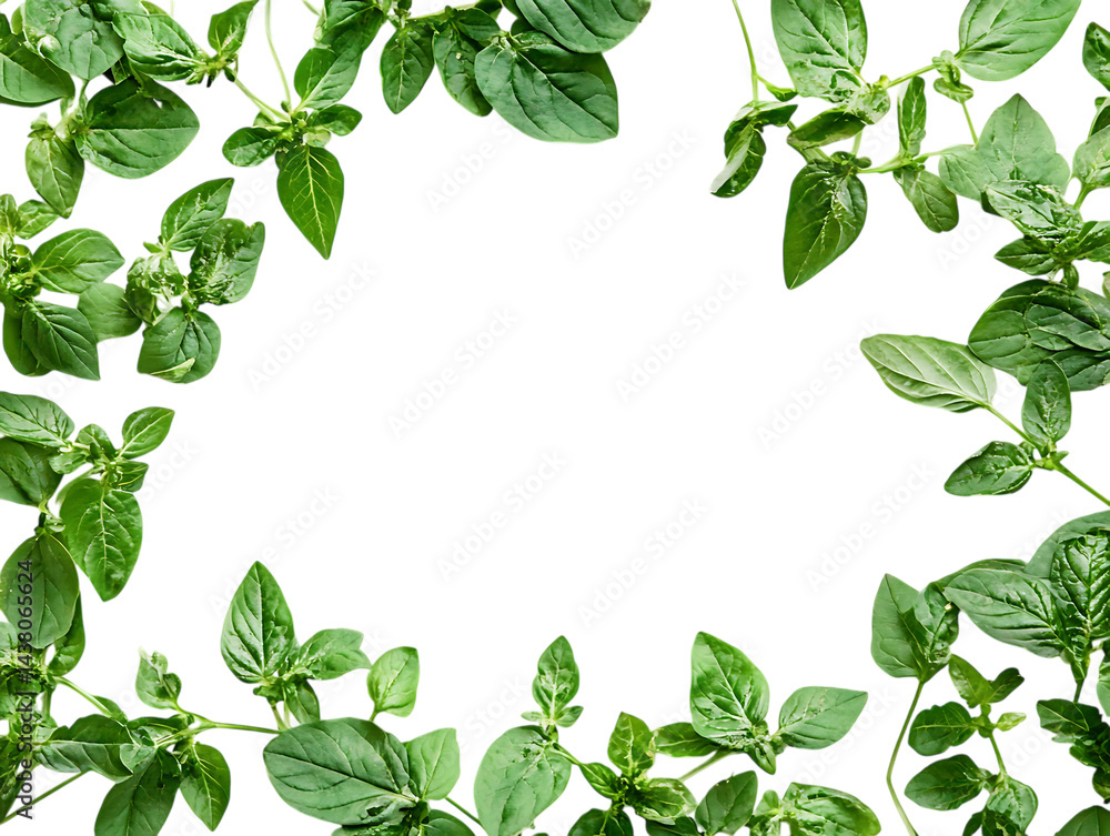 Fototapeta premium Bush Potato Vegetables Ready for Cooking