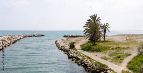 Wallpaper Mural Meer, Wellenbrecher, Palmen Torontodigital.ca