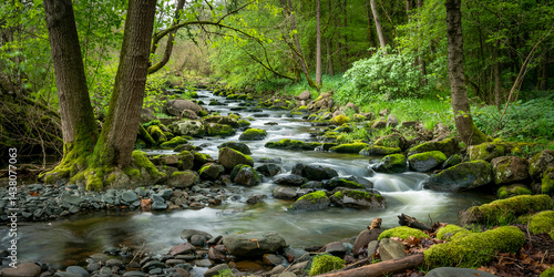 Tranquil forest stream captured with long exposure, silky water flowing over moss-covered dark rocks, framed by towering trees and vibrant, lush foliage