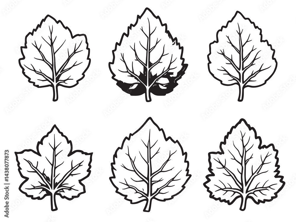 Obraz premium Mayapple Leaf vector line art illustration