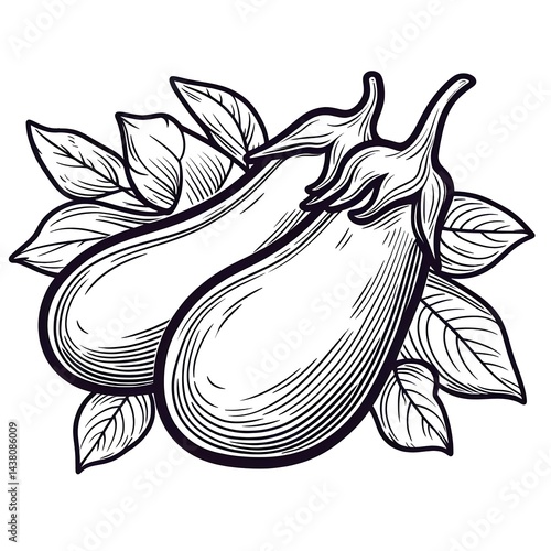 Eggplant minimalist black and white Vegetable silhouette drawing vector illustration