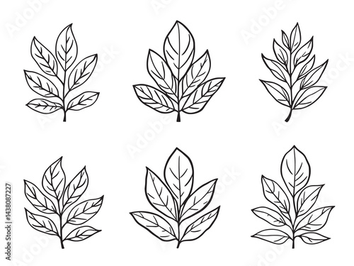 Oleander Leaf vector line art illustration