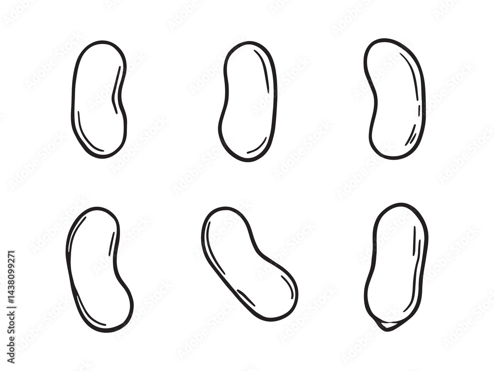 Pinto beans vector line art illustration Pinto beans vector line art illustration