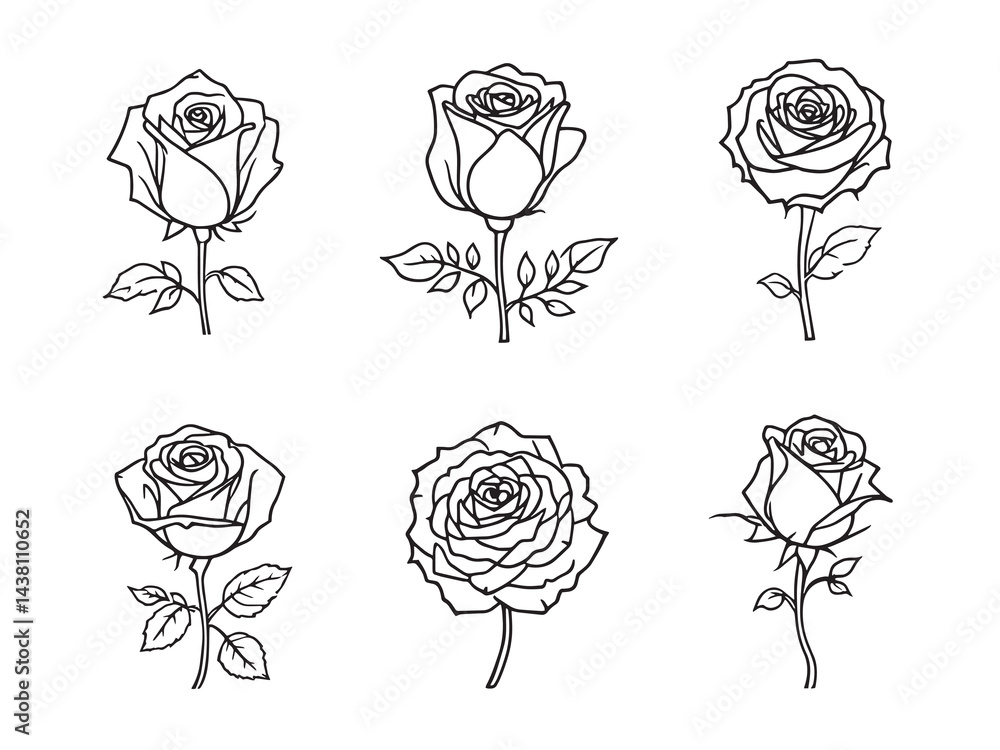 Obraz premium Rose vector line art illustration
