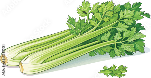 Celery isolated in white background vector design, Celery illustration vector design