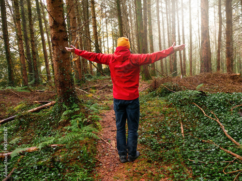 A man in a red jacket is walking through a forest. Male tourist is wearing a yellow hat. The forest is full of trees and the man is walking on a path. Travel and tourism concept. Trip to nature.