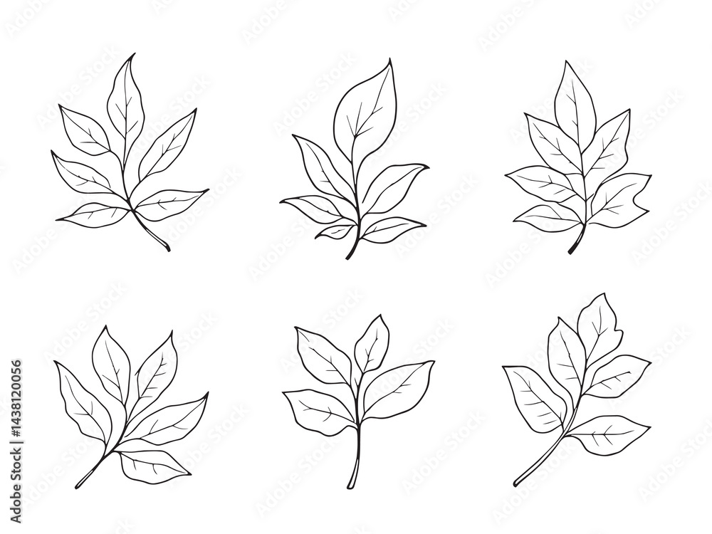 Fototapeta premium Shankhpushpi Leaf vector line art illustration