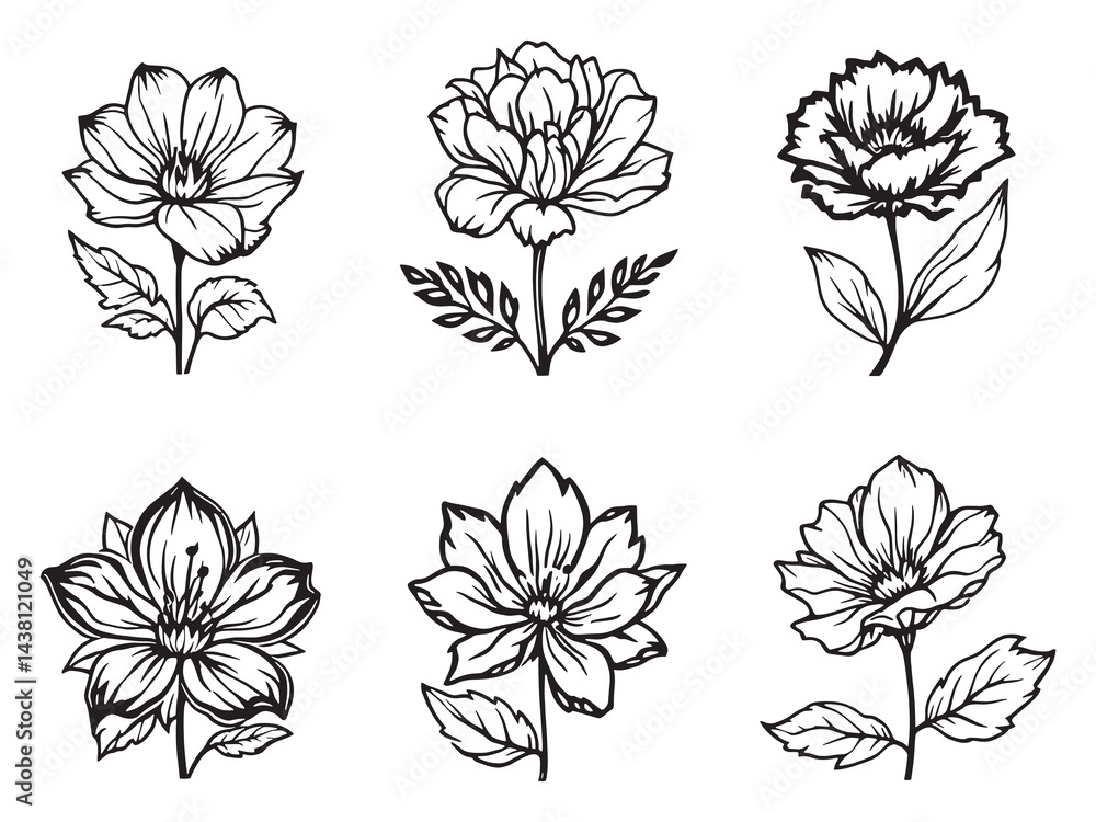 Fototapeta premium Silene vector line art illustration