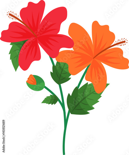 Vibrant Red and Orange Hibiscus Flowers Blooming on a Stem with Lush Green Leaves