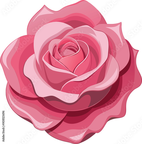 A beautiful pink rose, a floral symbol of love, blossoms with delicate petals in a macro closeup against a white background