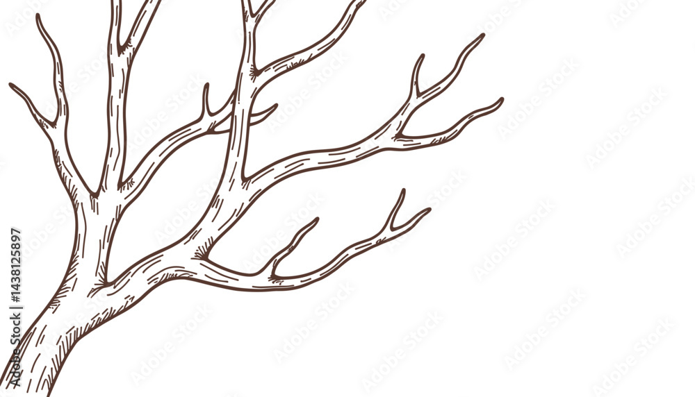 Artistic tree branch sketch in detailed line art, nature illustration