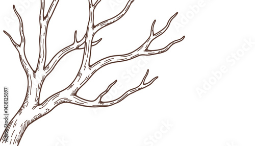 Artistic tree branch sketch in detailed line art, nature illustration