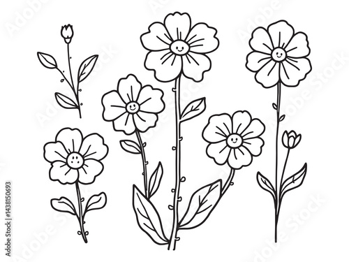 Waxflower vector line art illustration