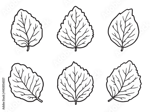 Wild Violet Leaf vector line art illustration