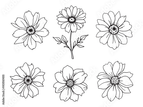 Yellow Archangel vector line art illustration