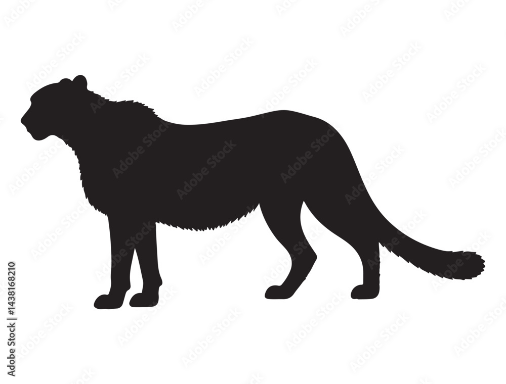 Obraz premium CHEETAH SILHOUETTE WHITE BACKGROUND