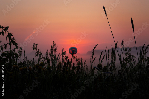 Obraz na płótnie Sunrise in the field w salonie