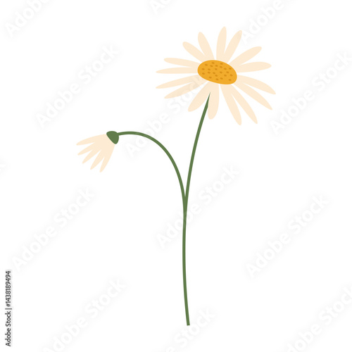 Wallpaper Mural Delicate colorful flowers with green leaves on a clean white background. Spring and Summer Season Torontodigital.ca