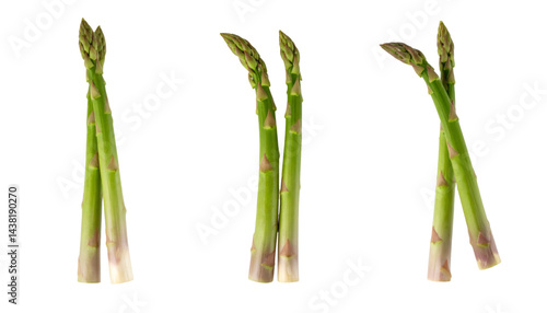 Fresh asparagus spears isolated on transparent background, ideal for healthy food and nutrition concepts