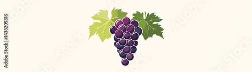 A bunch of purple grapes with green leaves, white isolated background.