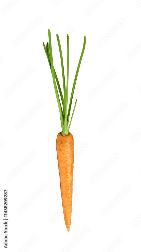 One yellow carrot with green stems isolated on white background with copy space. Eco market of fresh raw vegetables. Business card mockup design. Organic food. Rich harvest. Grown without fertilizers. One yellow carrot with green stems isolated on white background with copy space. Eco market of fresh raw vegetables. Business card mockup design. Organic food. Rich harvest. Grown without fertilizers.
