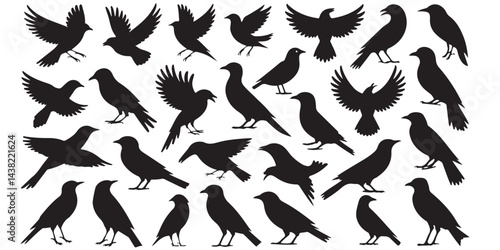 set of vector icon bird silhouette	
