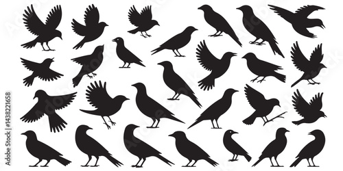 set of vector icon bird silhouette	
