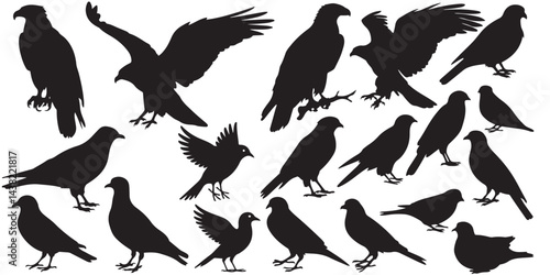set of vector icon bird silhouette	
