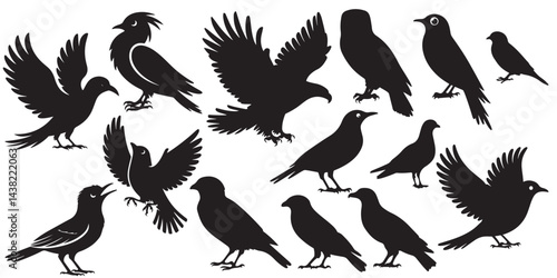 set of vector icon bird silhouette	
