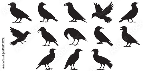 set of vector icon bird silhouette	
