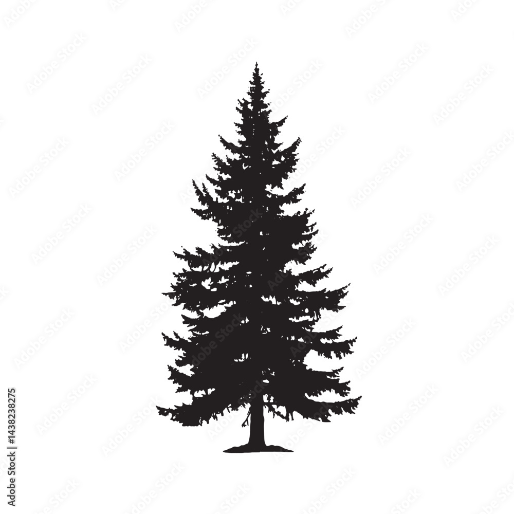 Isolated Douglas Fir Tree Silhouette Artwork Isolated Douglas Fir Tree Silhouette Artwork