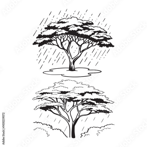 Rain tree silhouette vector
