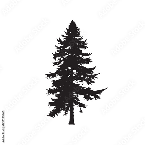 Dark Douglas Fir Tree Silhouette Minimalist