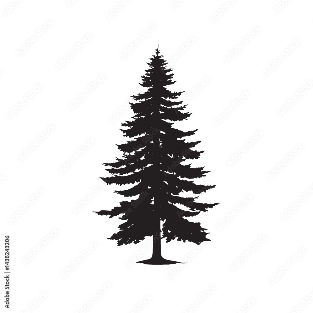 Obraz premium Isolated Douglas Fir Forest Tree Silhouette