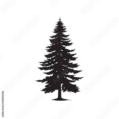 Isolated Douglas Fir Forest Tree Silhouette