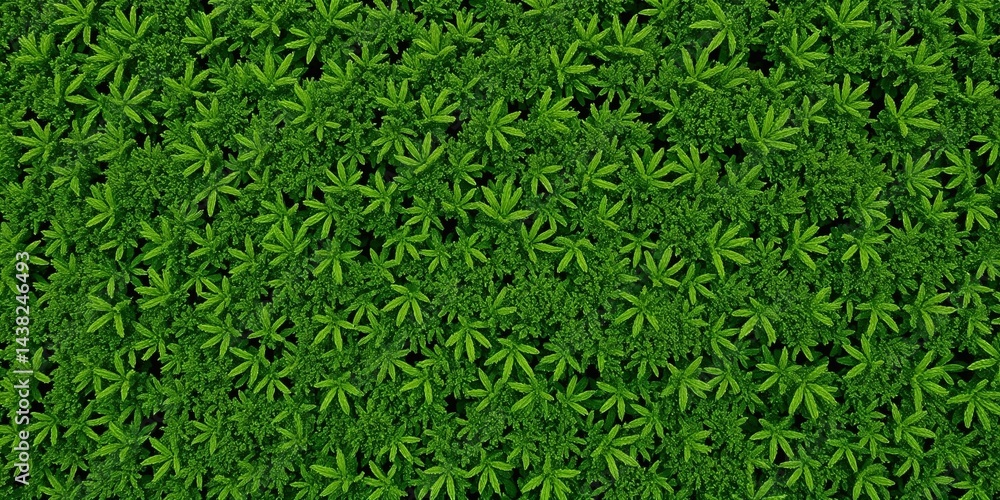 Green moss texture with small leaves in natural setting Green moss texture with small leaves in natural setting