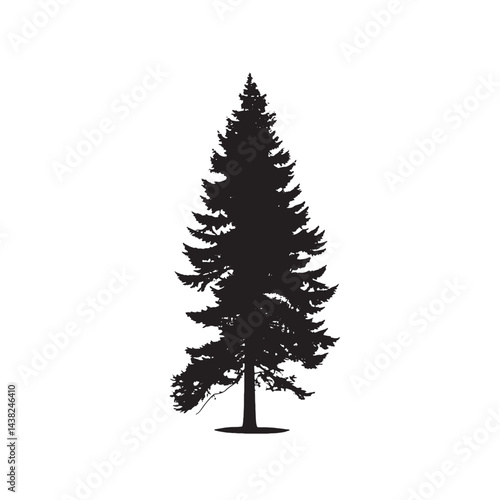 Douglas Fir Silhouette for Backgrounds