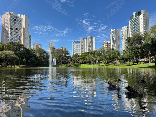 Wonderful view of Flamboyant Park with lake, tropical nature and modern buildings in Goiania, Goias, Brazil 