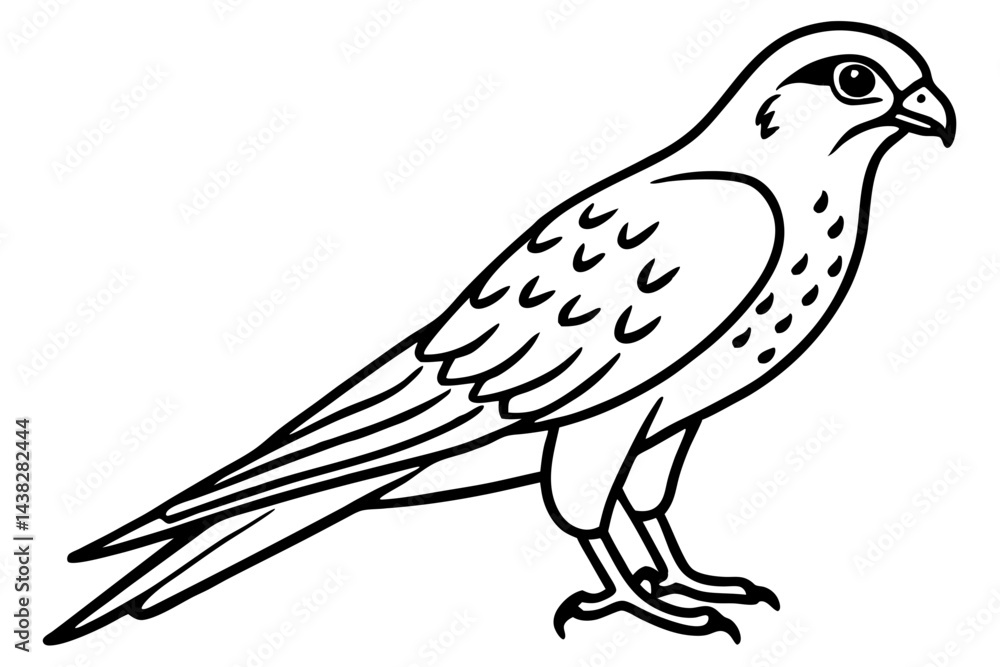 Obraz premium Elegant Kestrel Outline