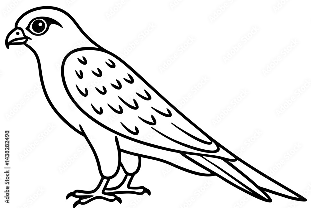 Fototapeta premium Elegant Kestrel Outline