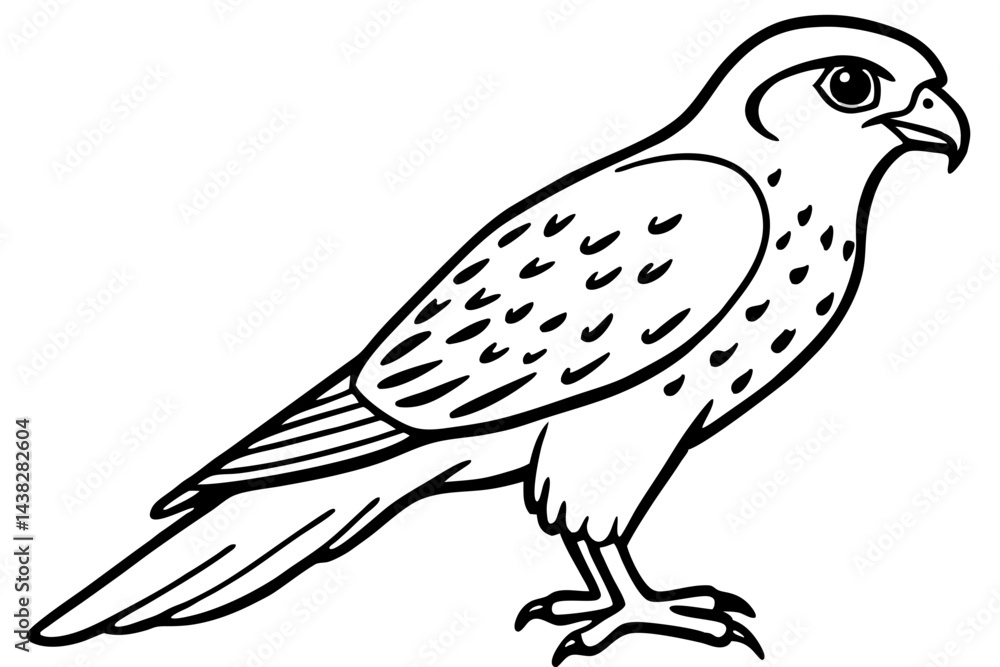 Fototapeta premium Elegant Kestrel Outline