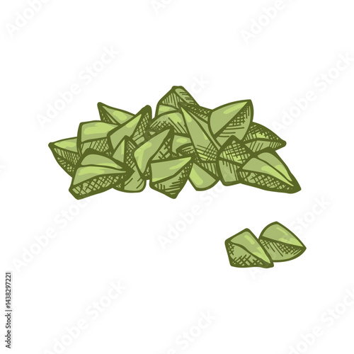 Buckwheat heap grains vector sketch hand drawn on isolated background. Set of coloured buckwheats seeds and fruits with engraving. Grain harvest, agriculture, healthy food, carbohydrate, porridge, tea