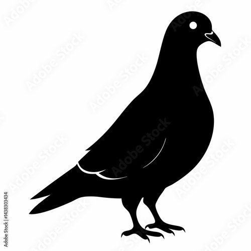 Silhouette of Pigeon with white background