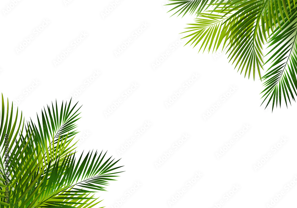 Fototapeta premium Green Frame With Palm Tree Leaves