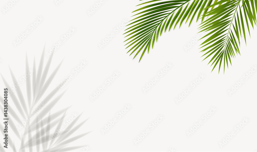 Fototapeta premium Natural Frame With Palm Tree Leaves