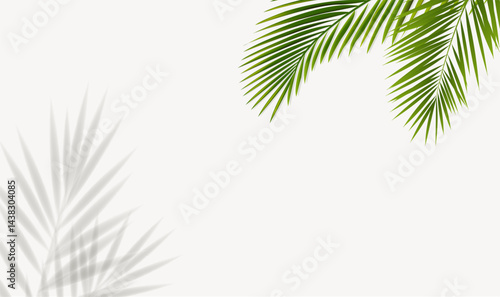 Natural Frame With Palm Tree Leaves