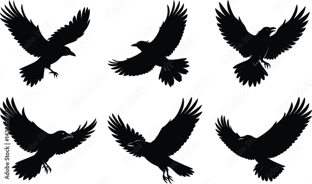 Obraz premium Flying Crow Silhouette vector illustration