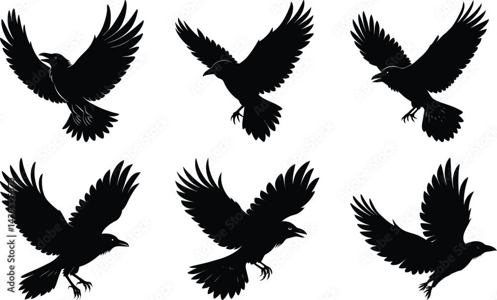 Obraz premium Flying Crow Silhouette vector illustration